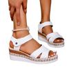 Fashion Casual Adult Sandals New Spring Roman Style Woven Strap Thick Heel Oversized Fashion Women's Shoes