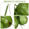 Искусственные кокосы Декор для тропической вечеринки Имитация кокоса Поддельные фрукты Реквизит для ресторана Фотореквизит Пластиковые фрукты