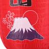 Hanging Cloth Decoration Lantern Japanese Style Spray Painting Lighting Lamp Restaurant Festive Party Decor Lamp