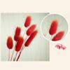 50pcs Dried Rabbit Tail Grass Flowers Artificial Plant Wedding Party