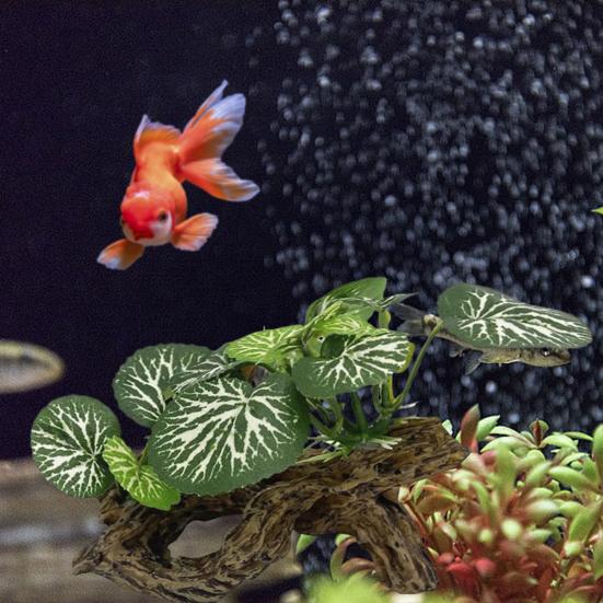 Fish Tank Decoration Artificial Plant Aquarium Ornament Fish Tank Accessory Aquatic Decor for Betta Fish Smaller Reptiles