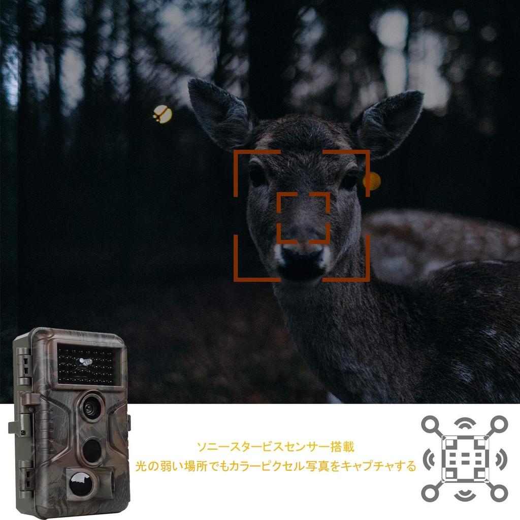 Blazevideo Trail 2 Pieces 1296P Motion Security Wildlife Surveillance Night Vision Shooting 48 Million IP66 PIR Invisible At Equipped with Infrared