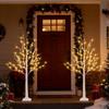 2 шт. 1,2 м Подсвеченная береза, 96 светодиодов Предварительно освещенная рождественская елка с таймером, Теплый белый, Декор для помещений и улицы