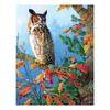 5D DIY Алмазная картина животное Сова Полная круглая Алмазная вышивка Крестиком