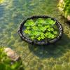Garden Pond Supplies Floating Plant Protector, Fine Mesh Fish Barrier, Rootlet Protector Net, Guard Netting for Aquatic Plants