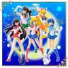 Bandai Sailor Moon Коллекция Sailor Moon HGIF