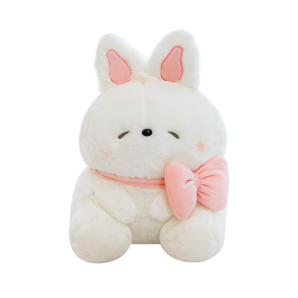 Plush Toys, Cute And Perfect Birthday Gifts For Friends And Classmates, Graduation Gifts