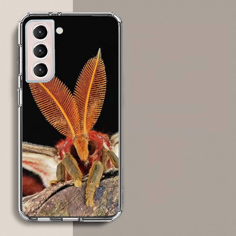 Moth Macro Phone Case For Samsung Galaxy S25 Edge S24 S23 FE S21 S20 S10 Plus S22 S26 Ultra Cover Clear Cases TPU Capa Shell Coq