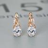 New Women Elegant Temperament Earrings Anniversary Gift Custom Jewelry Accessories Zircon Earrings