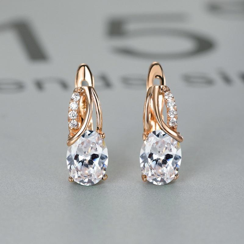 New Women Elegant Temperament Earrings Anniversary Gift Custom Jewelry Accessories Zircon Earrings