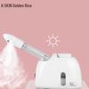 Jindao K33S Nano Facial Steamer