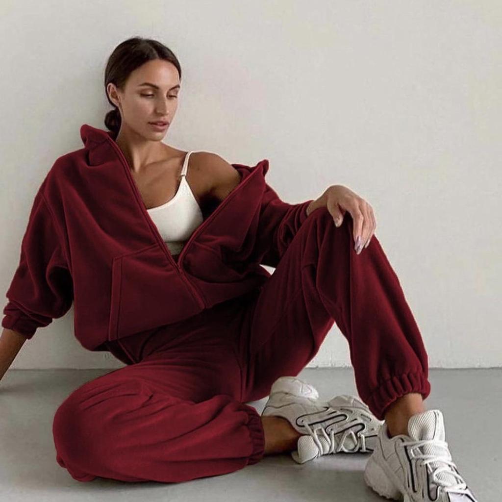 Women Solid Color Long Sleeve Hooded V Neck Hoodies Suit Autumn Winter Loose Top Wide Leg Pants