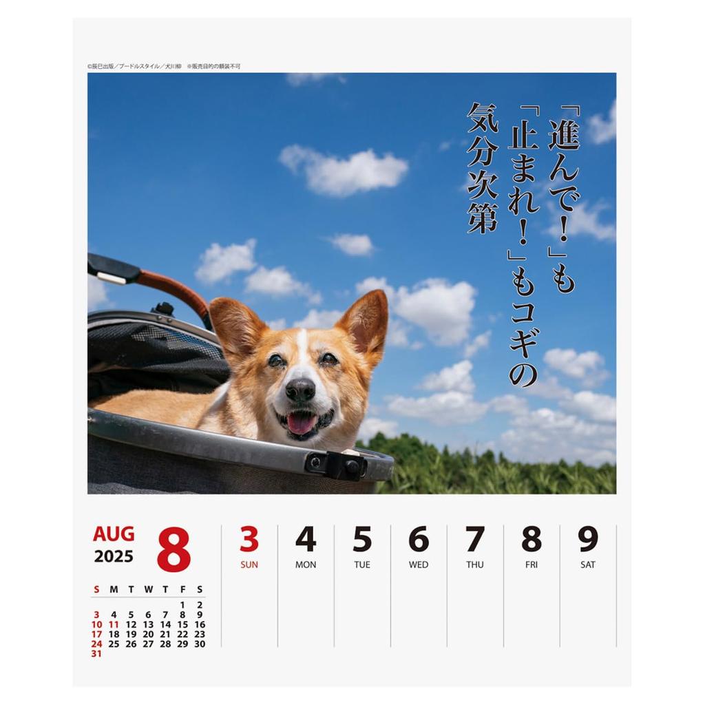 2025 Корги Сенрю (Еженедельно) Календарь №027