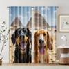 2 Pcs, Filtering Curtains (excluding Rods, Non-movable, Without Batteries) Funny Dogs & Pyramids for Use In Bedrooms and Living