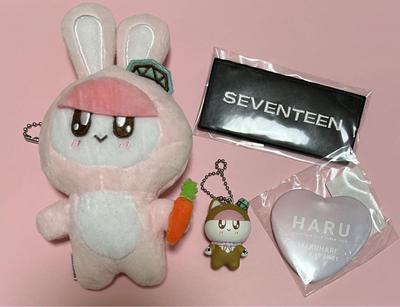 [Б/У] Брелок SEVENTEEN Bonbonyi