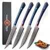 4Pcs Damascus Steak Knife Set Vg10 Japanese Damascus Kitchen Knives Chef's Professional Cooking Tool Cutlery