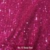 3mm Stripe Sequin Embroidery Mesh Fabric for Dress or Costume