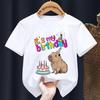 Футболка с принтом «Акварель, это мой день рождения» с изображением капибары для девочек/мальчиков, забавный подарок на день рождения, детская одежда, футболка Harajuku Kawaii для студентов