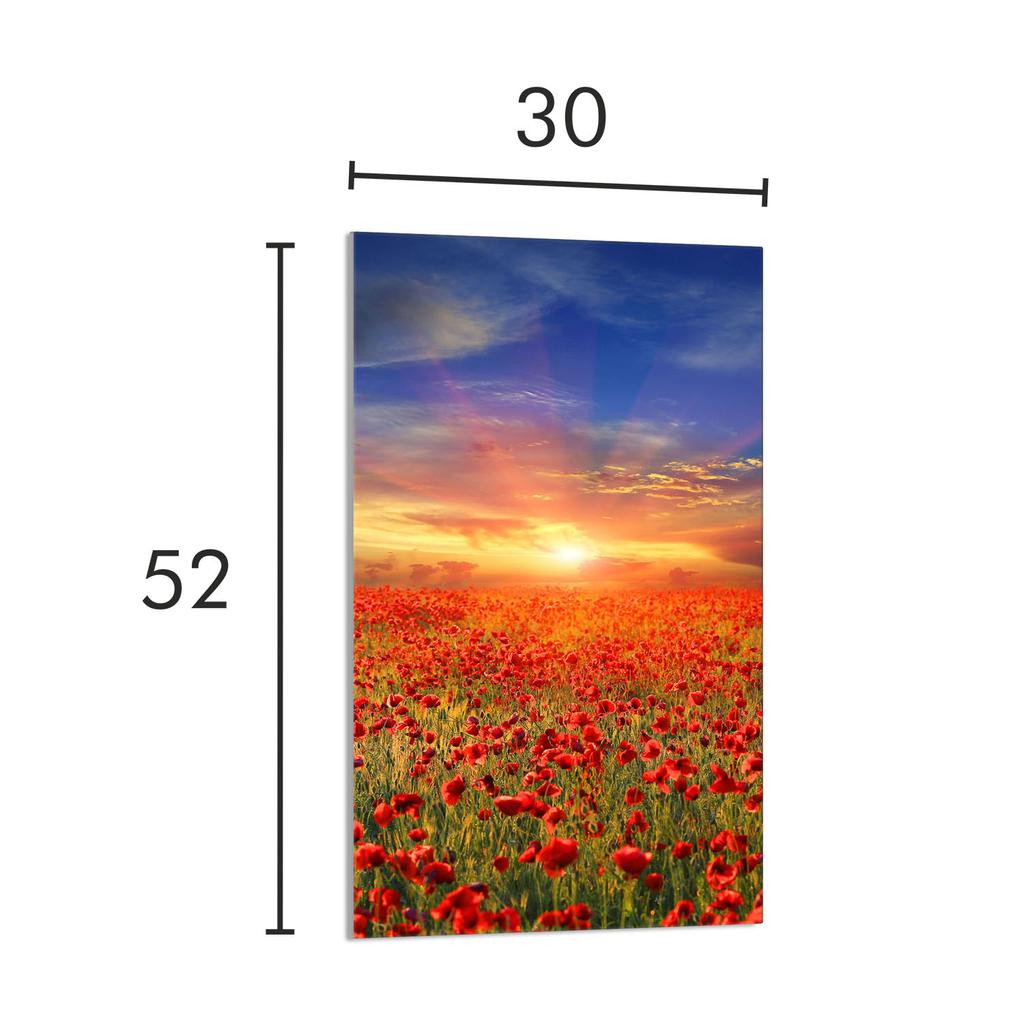 SZKLANA DESKA DO KROJENIA 30x52 Maki