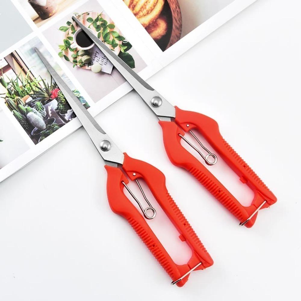 Садовый инструмент Садовые секаторы из нержавеющей стали Ножницы для сбора фруктов Ножницы для бонсай