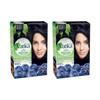 Henna Hair Color - Blue Black Pack of 2 - Vatika Naturals - Blue Noir 1.1 Hair Colour