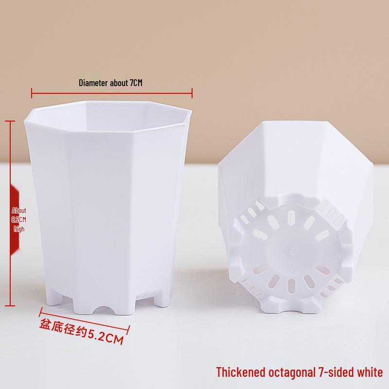 Popular Octagonal Breathable Small White Square Succulent Pot - Plastic Black Square Seedling and Leaf Pot