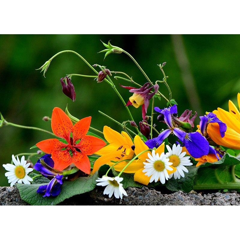 New DIY 5D Diamond Painting Flowers Diamond Embroidery Little Daisy Cross Stitch Full Round Drill Mosaic Home Decor Gift