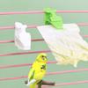 6Pcs Plastic Pet Bird Food Clip Mini Practical Parrot Fruit Vegetable Clip Portable Birds Food Holder Large Cages