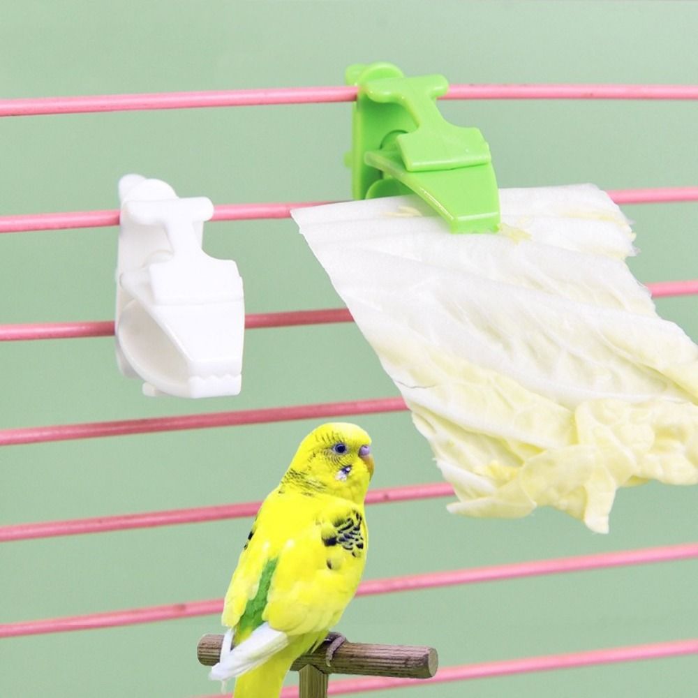 6Pcs Plastic Pet Bird Food Clip Mini Practical Parrot Fruit Vegetable Clip Portable Birds Food Holder Large Cages