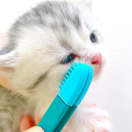 Кисть для кошачьих глаз Мягкая головка Дизайн с пряжкой Ручная головка Расческа для глаз питомца для домашнего использования