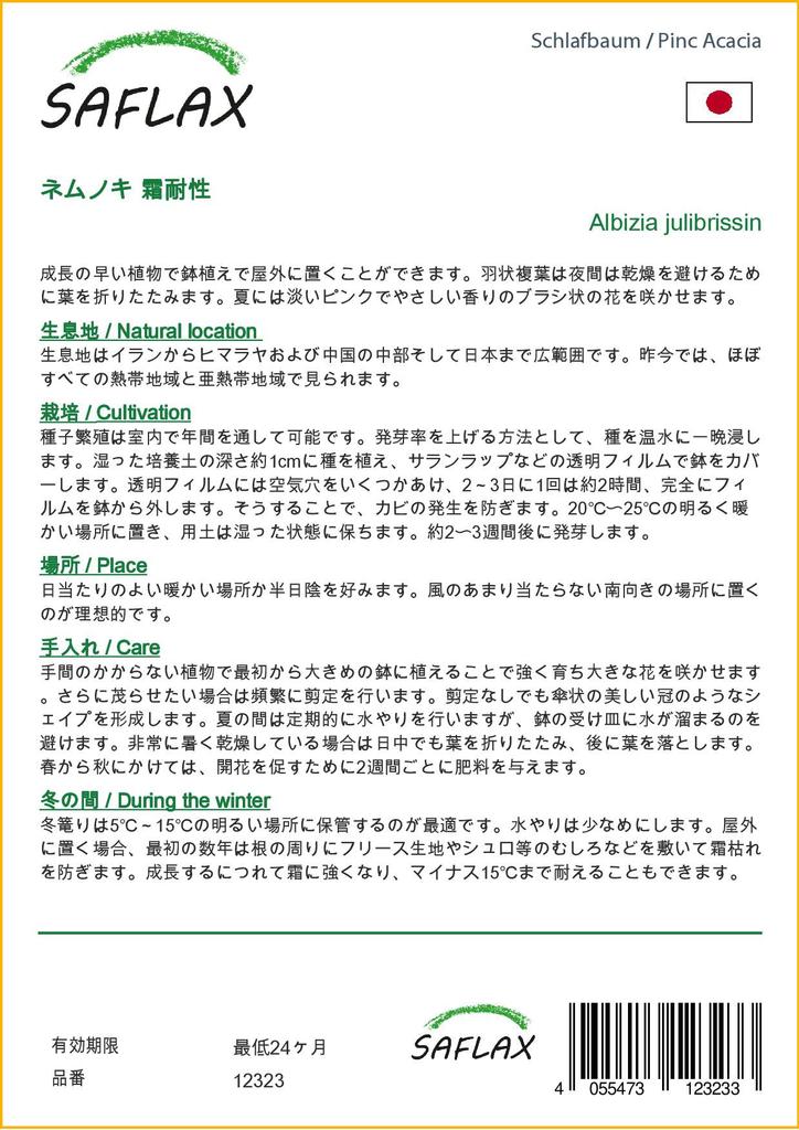 SAFLAX Pinc Acacia - 50 семян - Albizia julibrissin