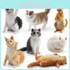 Реалистичная фигурка короткошерстной кошки, модели кошек мейн-кун, рэгдолл в семи разновидностях