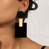 Punk  Exaggerated Geometric Circular Square Resin Earrings For Women, Earrings And Studs For Women