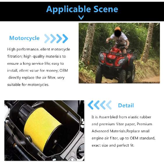 Road Passion 17254-HN1-000 Air Filters Replacement for Honda TRX400EX TRX 400 EX 1999-2001 2004 2006-2008/ TRX400EX Sportrax 400 EX 1999-2008/