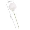 5Pcs Real Touch Calla Lilies Cala Lilly Lily Artificial Flowers Fake Silk Flower Fake Flower Wedding Ceremony Decor Home Garden