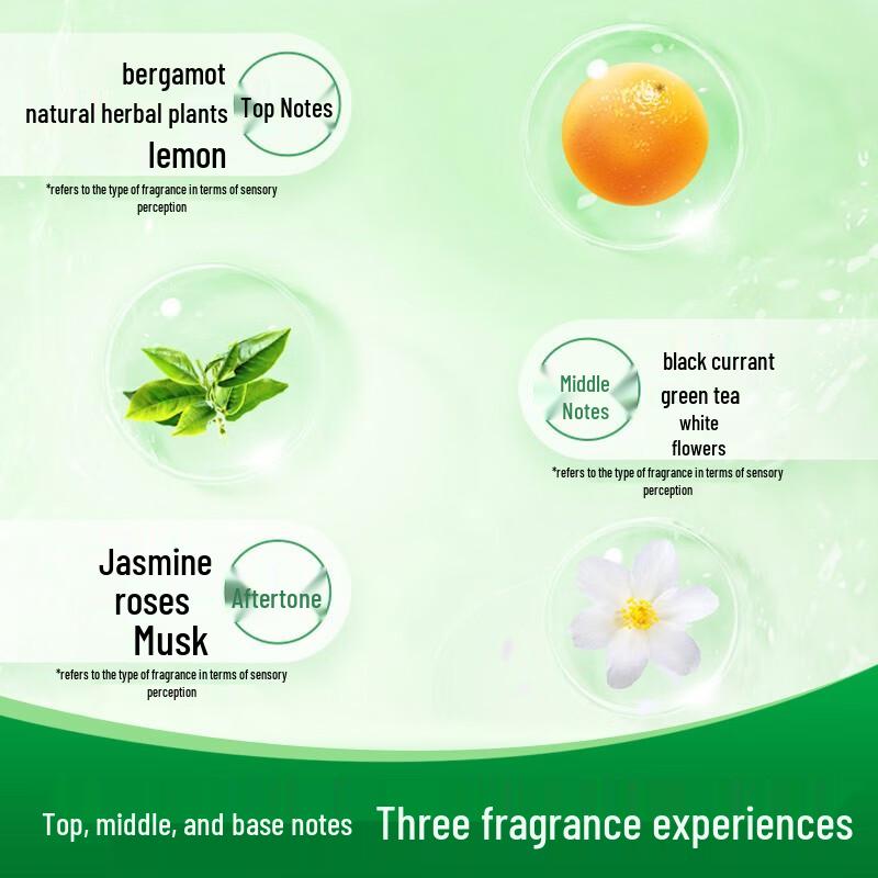 Dettol Jasmine Green Tea Moisturizing Shower Gel
