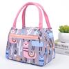 New Fashion Zipper Handheld Insulated Bag Women's Cartoon Waterproof Lunch Bag with Aluminum Foil Insulation