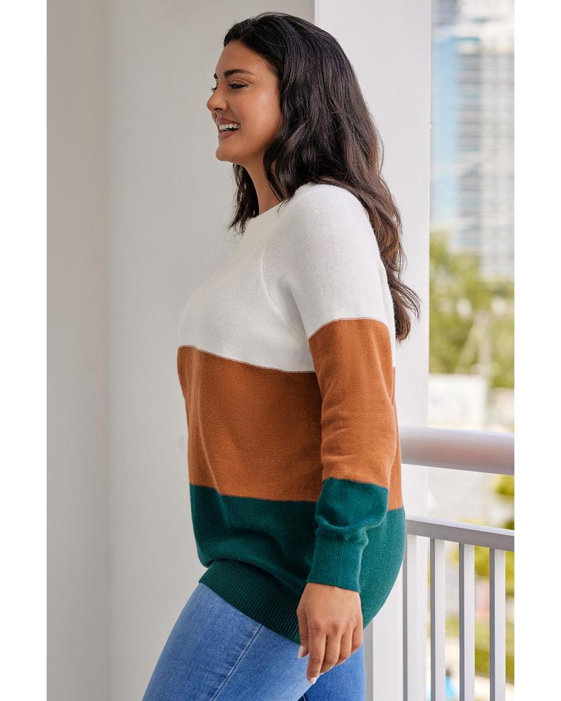 Azura Exchange Brown Plus Size Ribbed Trim Color Block Sweater