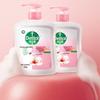 Dettol Здоровое Антибактериальное Увлажняющее Мыло для Рук