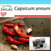 Gift Set - Chili - De Cayenne - 20 Seeds - With Gift Box, Card, Label and Potting Substrate - Capsicum Annum