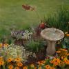 Weatherproof Metal Yard Inserts Wrought Iron Hummingbird Flower Garden Stake, Decorative Art, Art Decorations Anti-Rust Decor Sign for Balcony