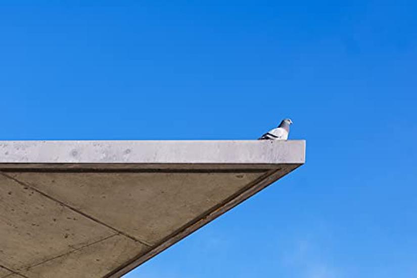 7artisans 55mm II Sony E Black Lens F1.4 E-Mount APS-C (2-Year Warranty)