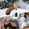 Одежда для хорька Регулируемый свитер Худи Костюм Набор костюмов и поводков для хорька для хомяка Шиншиллы Кроликов Щенка Котенка