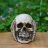 Halloween Skull Figurine See Speak Hear No Evil Resin Skeleton Head Realistic Human Skull Model Statue for Bar Home Table Decor