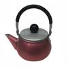Maekawa Metal Rainbow Teapot, Pink