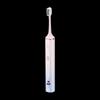 Little Bear DYS-C01T6 Pink Sonic Electric Toothbrush