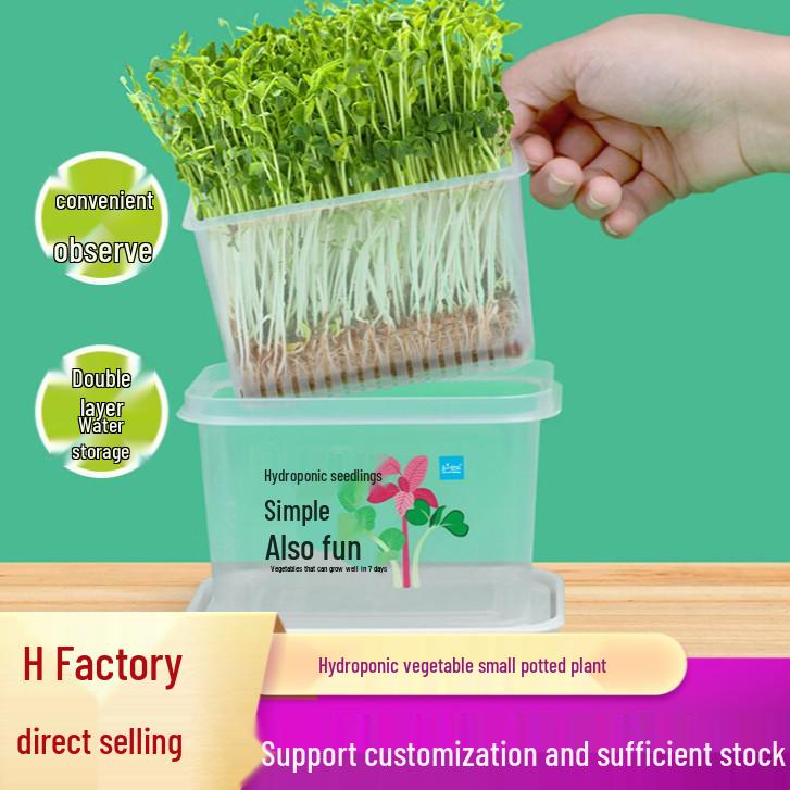 Children's Planting Kit: Hydroponic Vegetable & Radish Seedlings, Green Plants for Kindergartens, Seed Growth Observation for Primary Students