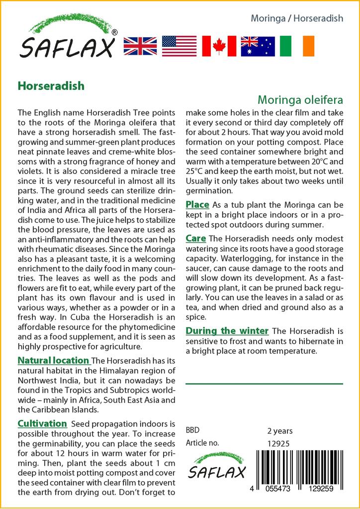 SAFLAX Хрен - 10 семян - Moringa oleifera