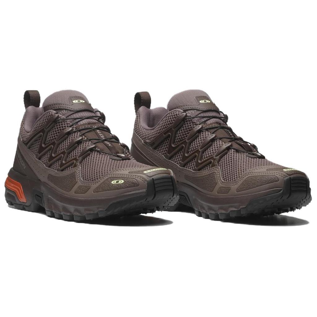 SALOMON ACS+ OG осенние кроссовки унисекс коричневые железные папоротники L47706500