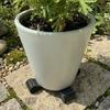 3Pcs 3D Printed Mini Cylindrical Plant Pot Risers Planter Support Blocks  Indoor Potted Plants